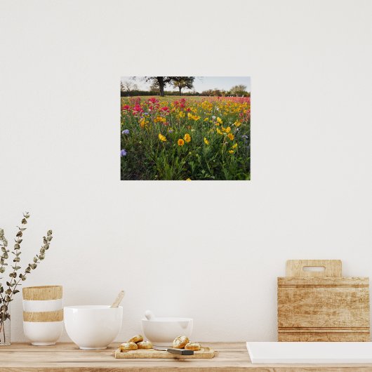 Roodzijdige wilde bloemen in Texas, lente Poster (Keuken)