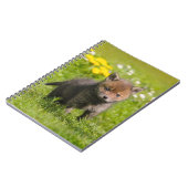 Roodzwoerd varken, baby, fotocover notitieboek (Linkerzijde)