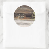 Roofie Raccoon Sticker (Tas)