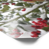 roofoverval in een heilige boom na een sneeuw foto afdruk (Hoek)