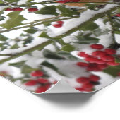 roofoverval in een heilige boom na een sneeuw poster (Hoek)