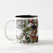 roofoverval in een heilige boom na een sneeuw tweekleurige koffiemok (Links)