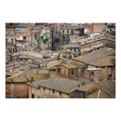 Roofs in Siena fotoprint Foto Afdruk (Voorkant)