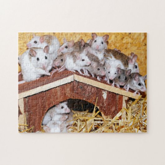 Rooftop Mice Jigzaag Legpuzzel (Horizontaal)