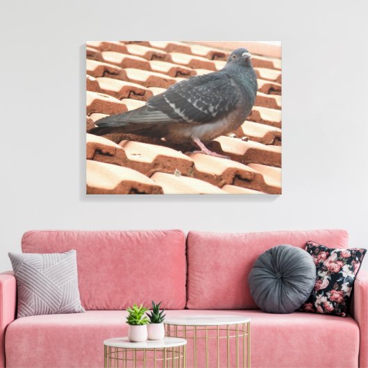 Rooftop Pigeon Canvas Afdrukken (Insitu (Woonkamer))