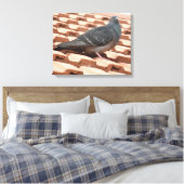 Rooftop Pigeon Canvas Afdrukken (Insitu (Slaapkamer))