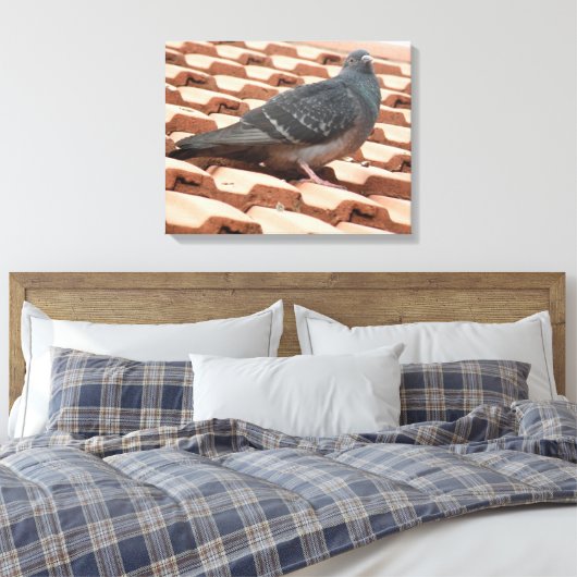 Rooftop Pigeon Canvas Afdrukken (Insitu (Slaapkamer))