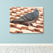 Rooftop Pigeon Canvas Afdrukken (Insitu (Houten vloer))