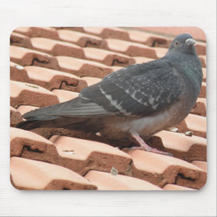 Rooftop Pigeon Mousepad Muismat