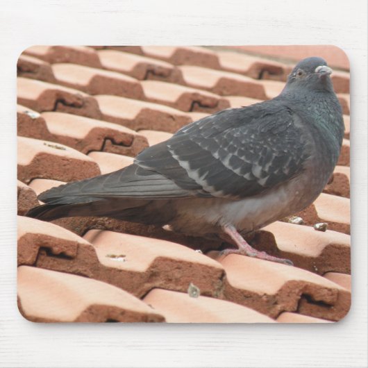 Rooftop Pigeon Mousepad Muismat (Voorkant)