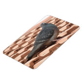 Rooftop Pigeon Premium Magnet Magneet (Linkerzijde)