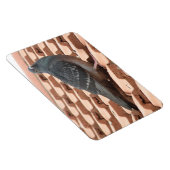 Rooftop Pigeon Premium Magnet Magneet (Rechterzijde)