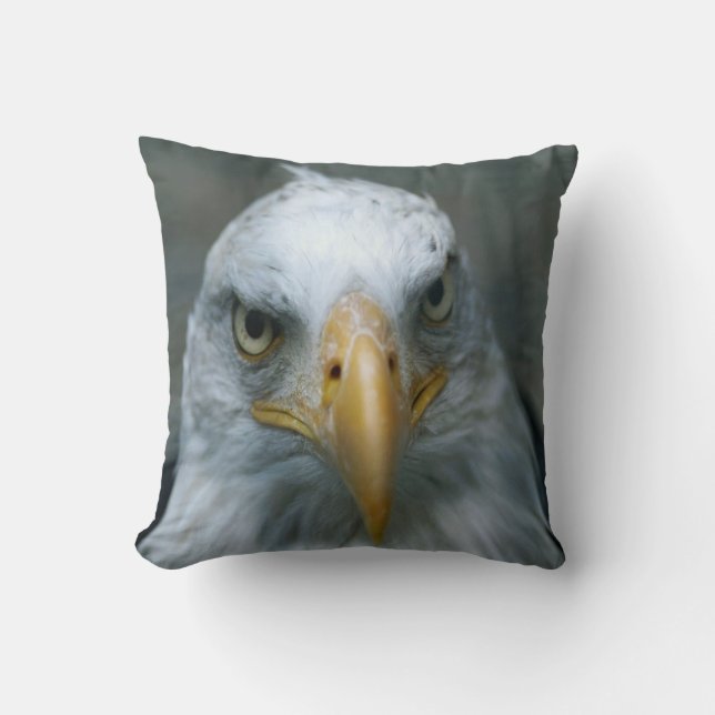  Roofvogel #21 - Amerikaanse zeearend Kussen (Voorkant)