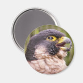 roofvogel magneet (Voorkant / Achterkant)