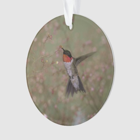 roofvogel ornament (voorkant)