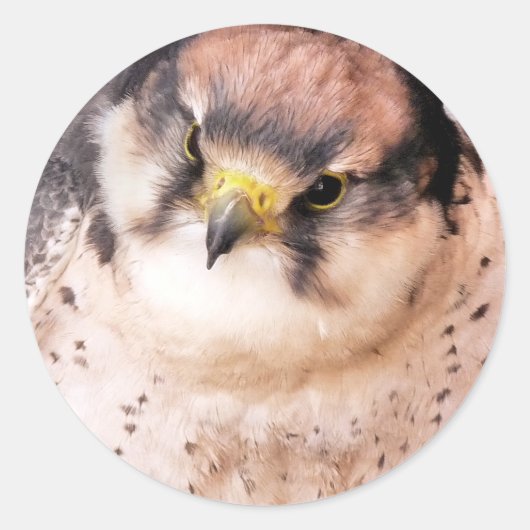 ROOFVOGEL RONDE STICKER (Voorkant)