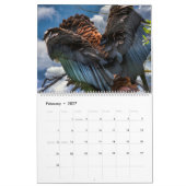 ROOFVOGELKUNST #1 KALENDER (Feb 2027)