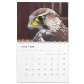 roofvogels 2024 kalender (Jan 2026)