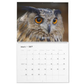 roofvogels 2024 kalender (Mar 2027)
