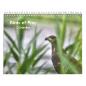 Roofvogels Kalender (Hoes)