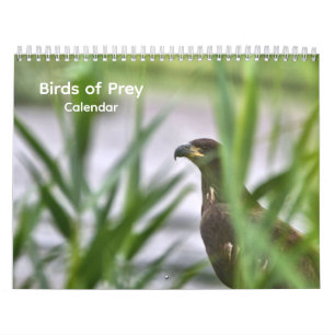 Roofvogels Kalender