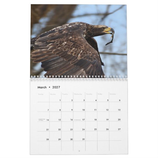 Roofvogels Kalender (Mar 2027)