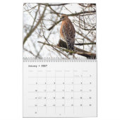 Roofvogels Kalender (Jan 2027)