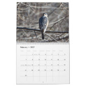 Roofvogels Kalender (Feb 2027)