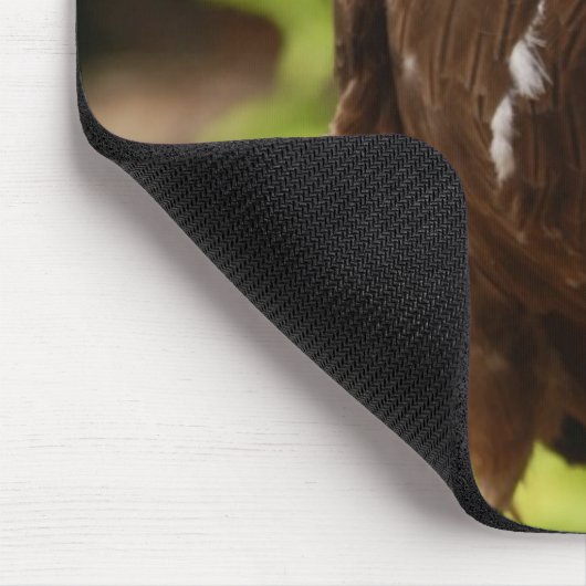 roofvogels muismat (Hoek)