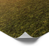 roofvogels poster (Hoek)