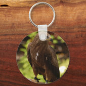 roofvogels sleutelhanger (Voorkant)