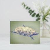 Rooioor-schuifschildpad feestdagenkaart (Staand voorkant)