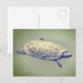 Rooioor-schuifschildpad feestdagenkaart (Voorkant / Achterkant)