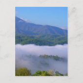 Rook Briefkaart (Voorkant)