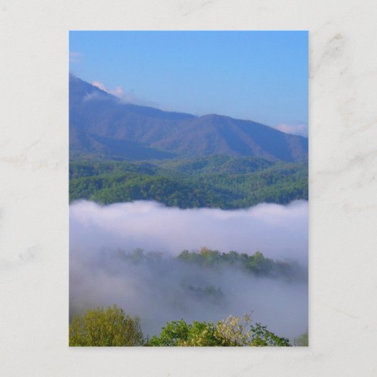 Rook Briefkaart (Voorkant)