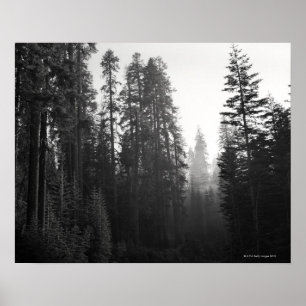 Rook uit een nabijgelegen brandblusfilter door poster