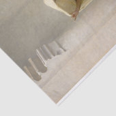 Rook van Ambergris door John Singer Sargent Tissuepapier (Detail)