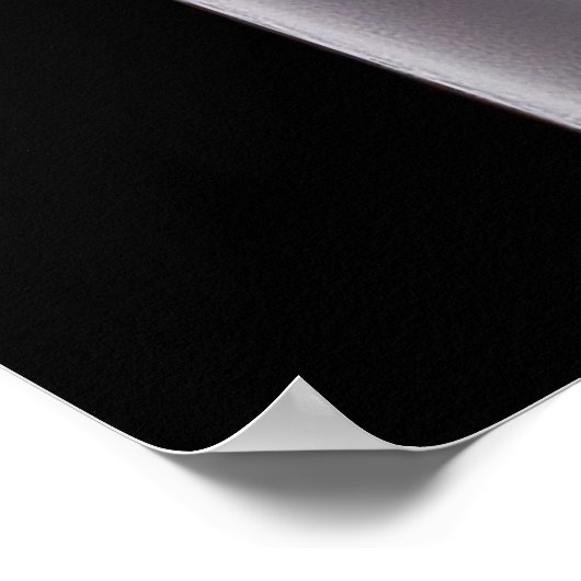 Rook-zwemmers Poster (Hoek)