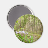 Rookgebergte Trail in de lente Magneet (Voorkant / Achterkant)