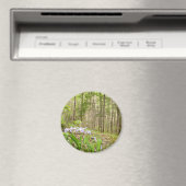 Rookgebergte Trail in de lente Magneet (Insitu (Vaatwasser))