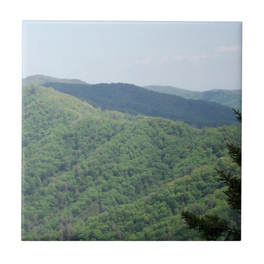 Rookgebergte Trivet Tegel 1 Tegeltje (Voorkant)