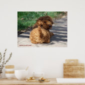 Rookie kijkt nooit achterom poster (Keuken)