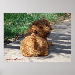 Rookie kijkt nooit achterom poster