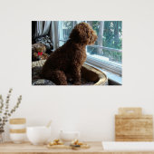 Rookie Waits bij het raam Poster (Keuken)