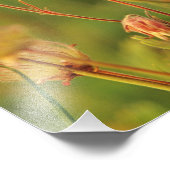 Rookplanten in Montana 2 Foto Afdruk (Hoek)