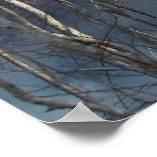 Rookrook Poster (Hoek)