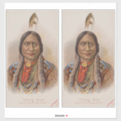 Rooksignalen: Lakota Indian Chief Sitting Bull Sticker (Vel)