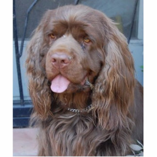 ROOKSPANIEL FOTOBEELDJE ORNAMENT