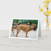 Rool Honden Kaart (Gele Bloem)