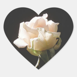 Roomkleurig roos op de donkere achtergrond hart sticker